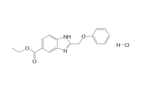 Ethyl 2-[phenoxymethyl]-[1H]-benzimidazole-5-carboxylate - hydrochloride