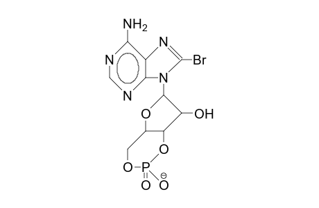 8-Bromo-adenosine 3',5'-cyclic phosphate