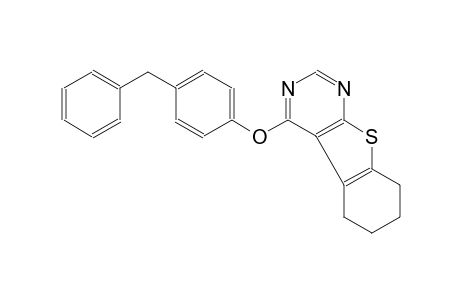 benzo[4,5]thieno[2,3-d]pyrimidine, 5,6,7,8-tetrahydro-4-[4-(phenylmethyl)phenoxy]-