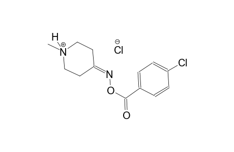 4-{[(4-chlorobenzoyl)oxy]imino}-1-methylpiperidinium chloride