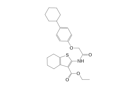 benzo[b]thiophene-3-carboxylic acid, 2-[[(4-cyclohexylphenoxy)acetyl]amino]-4,5,6,7-tetrahydro-, ethyl ester