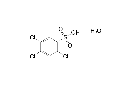 2,4,5-trichlorobenzenesulfonic acid, hydrate
