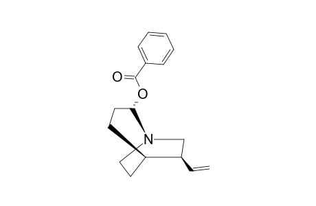 (1S,2R,5R,6R)-2-BENZOYLOXY-6-VINYL-1-AZABICYCLO-[3.2.2]-NONANE