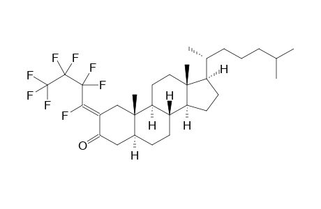 (2Z,5S,8R,9S,10S,13R,14S,17R)-17-[(1R)-1,5-dimethylhexyl]-10,13-dimethyl-2-(1,2,2,3,3,4,4,4-octafluorobutylidene)-4,5,6,7,8,9,11,12,14,15,16,17-dodecahydro-1H-cyclopenta[a]phenanthren-3-one