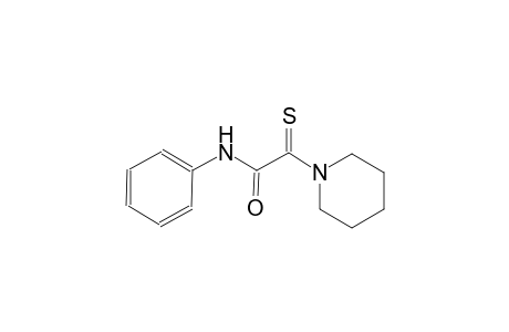 1-piperidineacetamide, N-phenyl-alpha-thioxo-