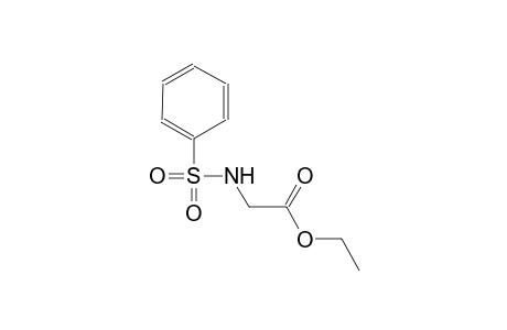acetic acid, [(phenylsulfonyl)amino]-, ethyl ester