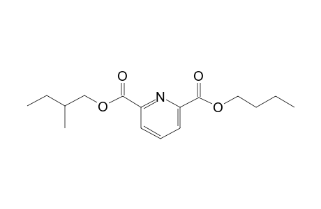 2,6-Pyridinedicarboxylic acid, butyl 2-methylbutyl ester