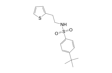 Benzenesulfonamide, 4-(1,1-dimethylethyl)-N-[2-(2-thienyl)ethyl]-