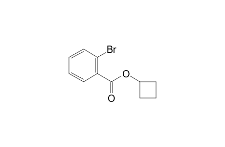 Cyclobutyl 2-bromobenzoate