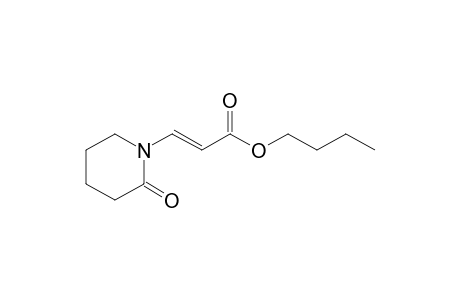 (E)-Butyl 3-(2-Oxopiperidin-1-yl)acrylate