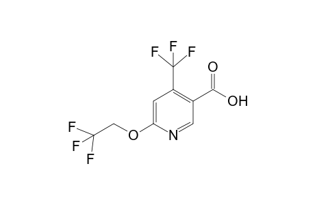 6-(2,2,2-Trifluoroethoxy)-4-(trifluoromethyl)nicotinic acid