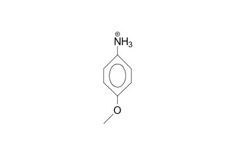 P-Anisidinium cation