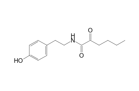 N-[2-(4-Hydroxyphenyl)ethyl]-2-oxohexanamide
