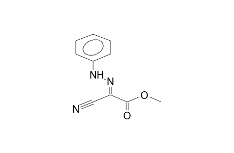 Cyano-glyoxylic acid, methyl ester anti-phenyl-hydrazone