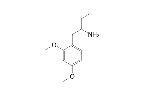 1-(2,4-Dimethoxyphenyl)butan-2-amine