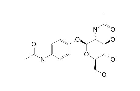 PARA-N-ACETAMIDOPHENYL-2-ACETAMIDO-2-DEOXY-BETA-D-GLUCOPYRANOSIDE