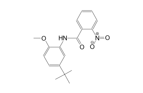 N-(5-tert-butyl-2-methoxyphenyl)-2-nitrobenzamide