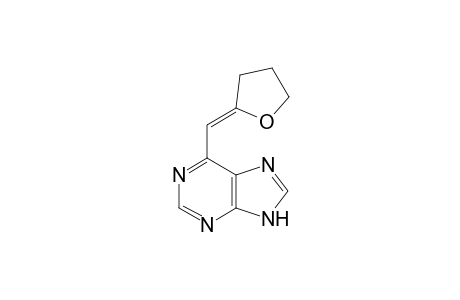 6-[(Z)-2-oxolanylidenemethyl]-7H-purine