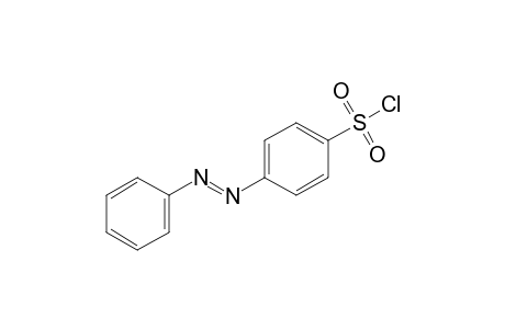 p-Phenylazobenzene sulfonyl chloride