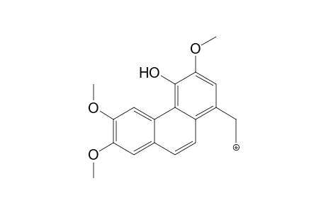 Glaucine-M (2-O-demethyl-) MS3_1