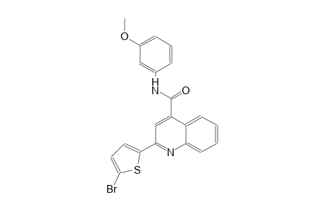 2-(5-bromo-2-thienyl)-N-(3-methoxyphenyl)-4-quinolinecarboxamide