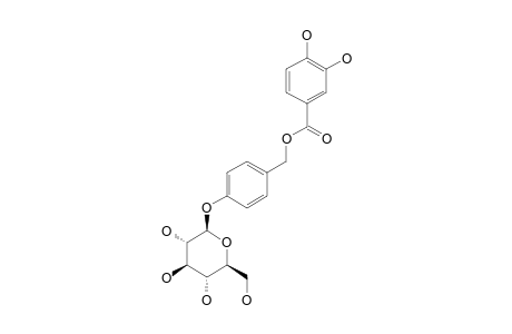 AMBUROSIDE-A;4-(O-BETA-D-GLUCOPYRANOSYL)-HYDROXY-7-(3',4'-DIHYDROXY-BENZOYL)-BENZYLALCOHOL