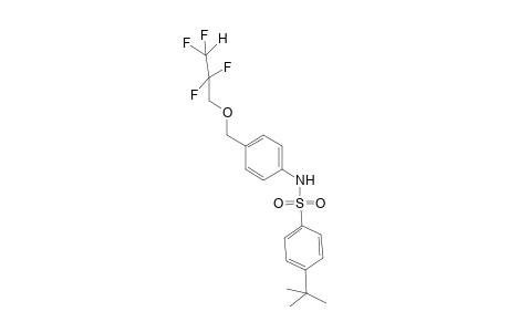 4-tert-Butyl-N-{4-[(2,2,3,3-tetrafluoropropoxy)methyl]phenyl}benzenesulfonamide