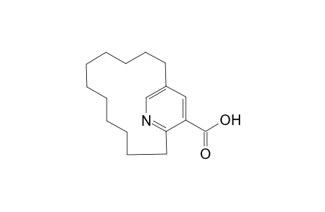 [11](2,5)pyridinophane-3-carboxylic acid