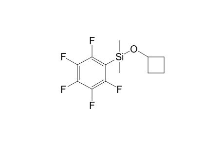(Cyclobutyloxy)(dimethyl)(2,3,4,5,6-pentafluorophenyl)silane