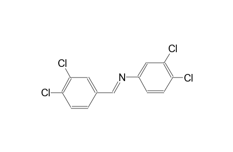 N-(3,4-dichlorophenyl)-N-[(E)-(3,4-dichlorophenyl)methylidene]amine