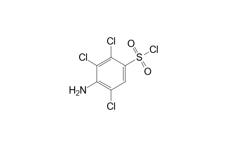 2,3,5-trichlorosulfanilyl chloride