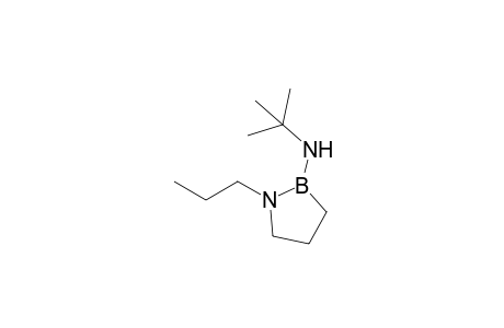 2-[(t-Butyl)amino]-1-propyl-1,2-azaborolidine