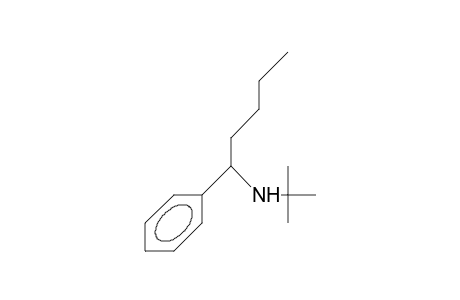 N-tert-Butyl-N-(1-phenyl-pentyl)amine