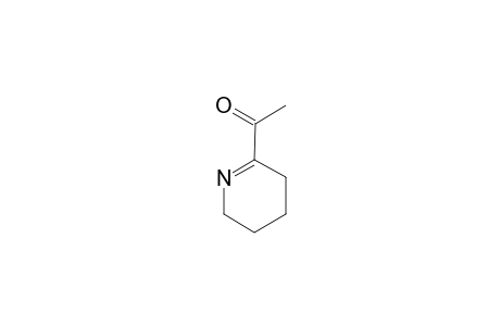 6-ACETYL-2,3,4,5-TETRAHYDROPYRIDINE