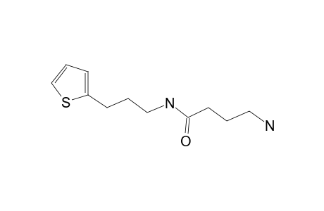 4-Amino-N-[3-(thiophen-2-yl)propyl]butanamide