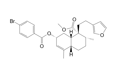 2-(p-Bromobenzoyloxy)cajucarin B