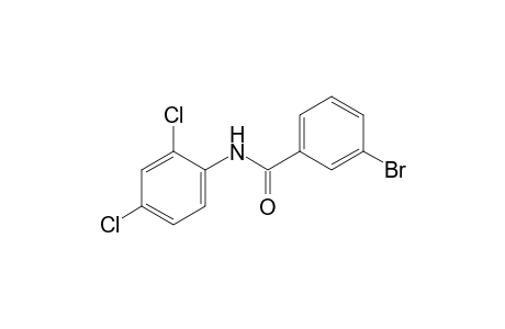 3-bromo-2',4'-dichlorobenzanilide