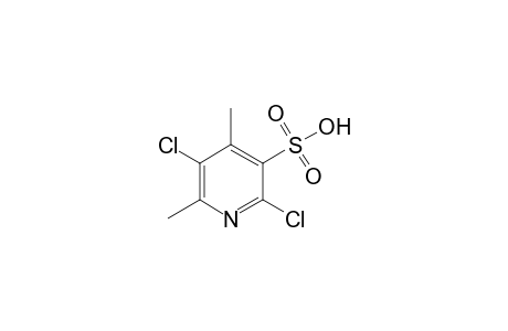 4,6-Dimethyl-2,5-dichloropyridine-3-sulfonic acid
