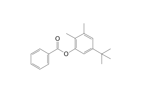 (5-tert-butyl-2,3-dimethyl-phenyl) benzoate