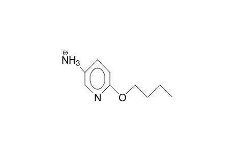5-Amino-2-butoxy-pyridine cation