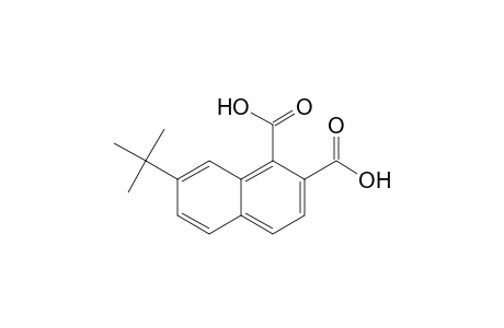 7-tert-Butylnaphthalene-1,2-dicarboxylic Acid