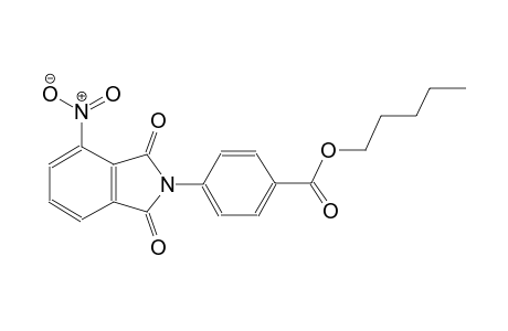 benzoic acid, 4-(1,3-dihydro-4-nitro-1,3-dioxo-2H-isoindol-2-yl)-, pentyl ester
