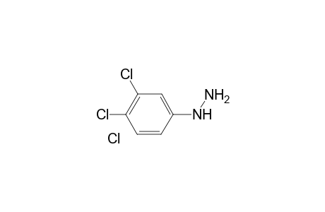 3,4-Dichlorophenylhydrazine hydrochloride