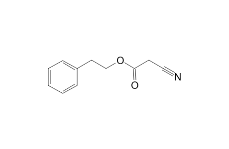 Cyanoacetic acid 2-phenylethyl ester