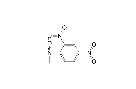 N,N-dimethyl-2,4-dinitroaniline N-oxide