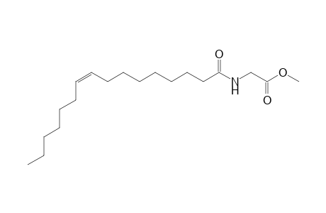 Methyl (Z)-N-hexadec-9-enoylglycinate
