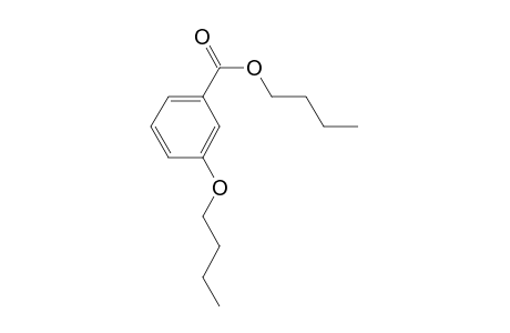 Benzoic acid, 3-butyloxy-, butyl ester