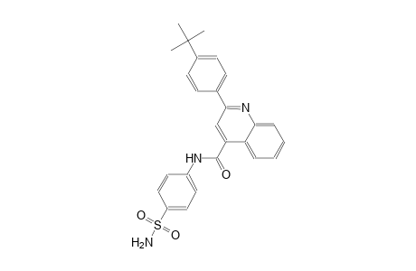 N-[4-(aminosulfonyl)phenyl]-2-(4-tert-butylphenyl)-4-quinolinecarboxamide