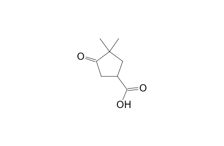 3,3-Dimethyl-4-oxocyclopentanecarboxylic acid
