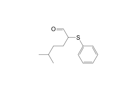 Hexanal, 5-methyl-2-(phenylthio)-